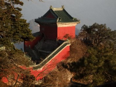 WuDang (371)