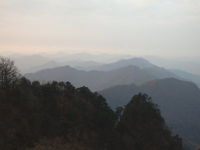 WuDang (480)
