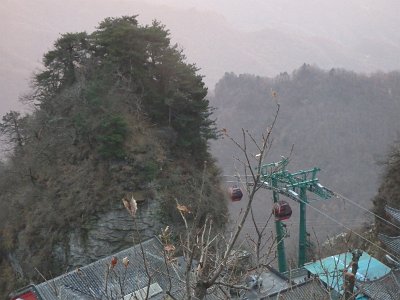WuDang (484)