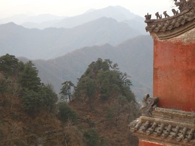 WuDang (491)