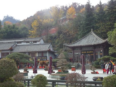 WuDang (508)