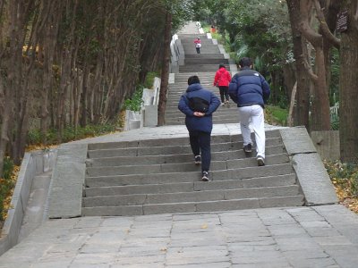 WuDang (518)