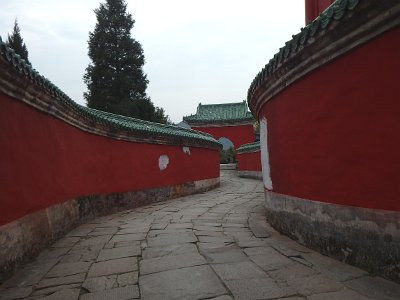 WuDang (529)