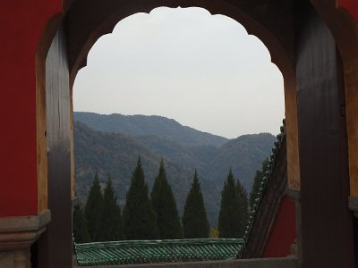 WuDang (538)