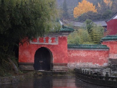 WuDang (597)