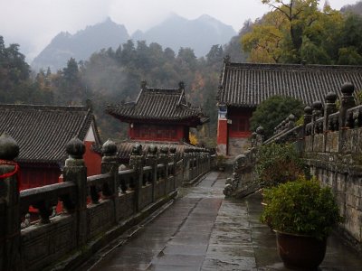 WuDang (623)