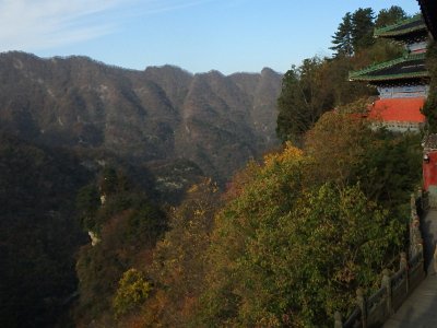 WuDang (706)