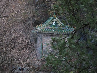 WuDang (714)