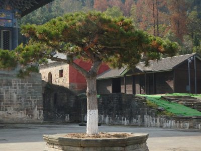 WuDang (766)