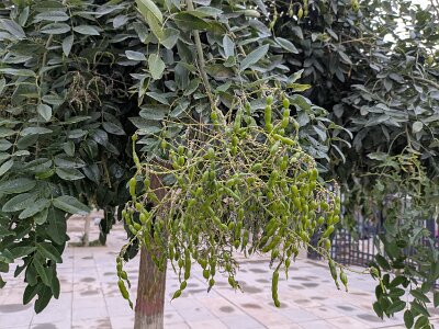 ZhangyeBuddhist (176)