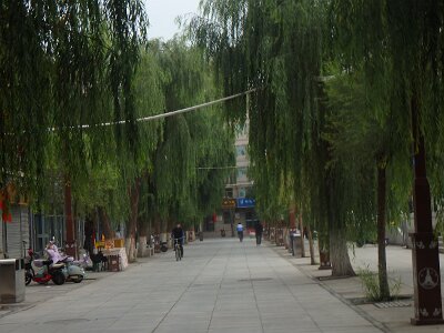 ZhangyeBuddhist (203)