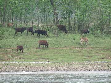 Guilin06 (324)