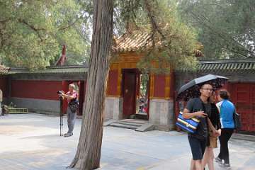 SummerPalace (154)