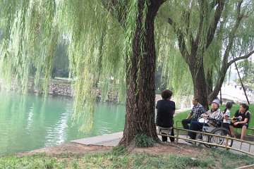 SummerPalace (62)