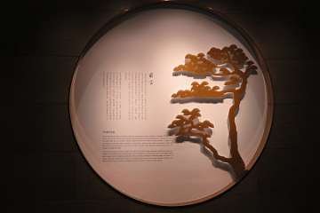 Suzhou (36)